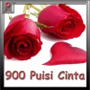 900 Puisi Cinta mobile app for free download